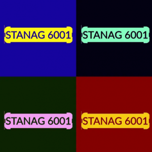 STANAGMASTER kurs online 1:1 angielski MON WP